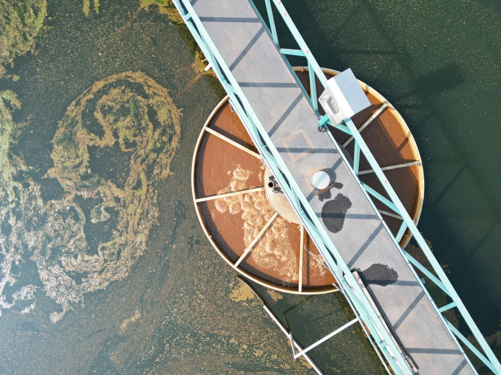 How Does Wastewater Reveal Alcohol Trends in Cyprus?