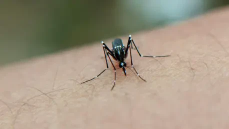 Dengue Outbreak in Pinar del Río Spurs Health Actions