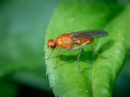 Fruit Fly Study Reveals Neural Circuits for Odor Perception